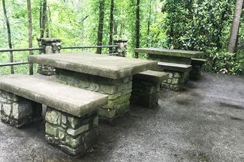Outdoor BBQ and Picnic Tables at Pet-Friendly Apartments in Smyrna, GA